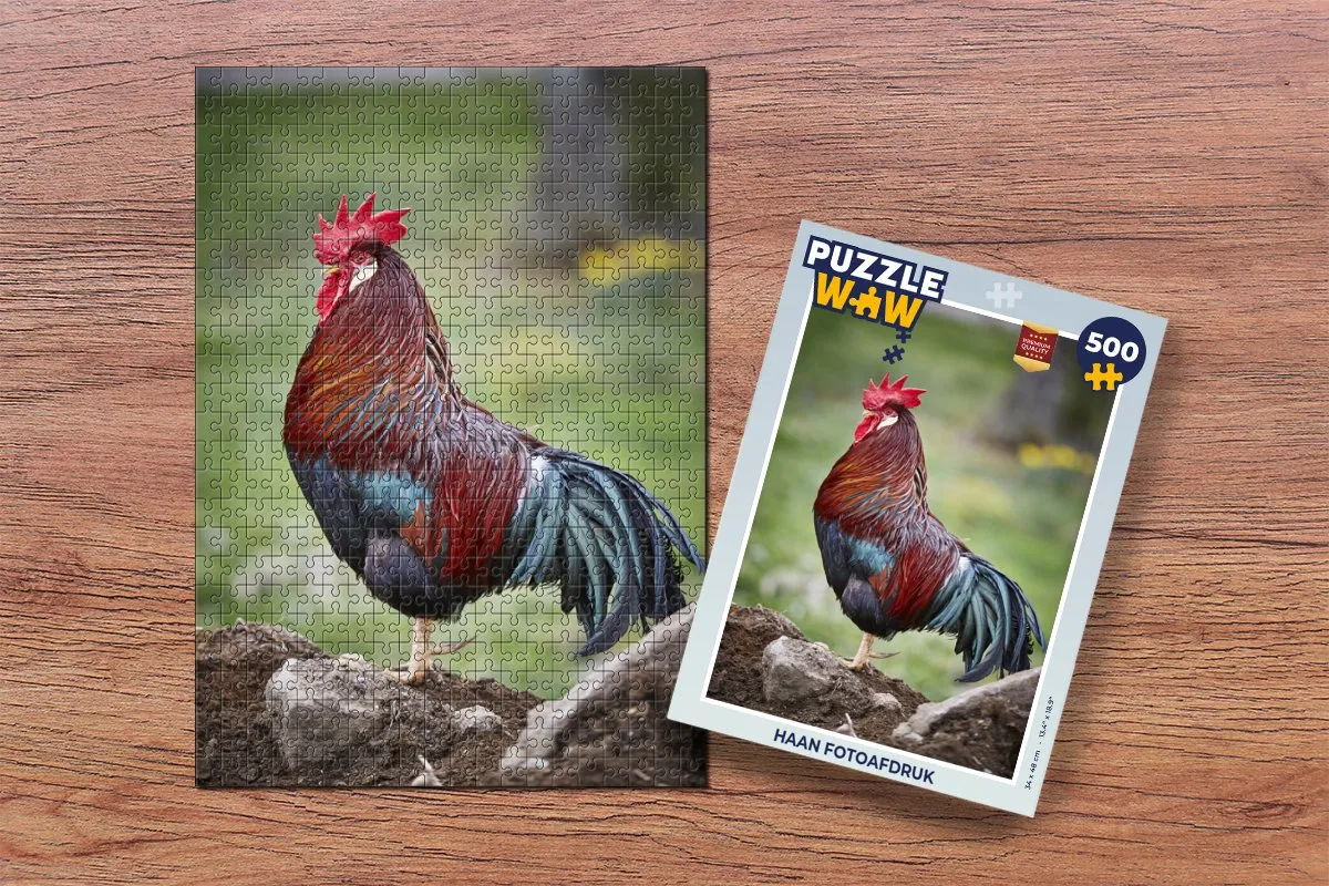 PuzzleWow Legpuzzel Haan Fotoafdruk 500 Stuks - Multicolor