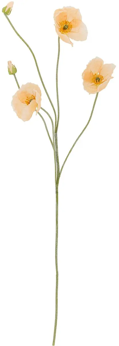 Poppy Stem, Nature, Artificial Flowers
