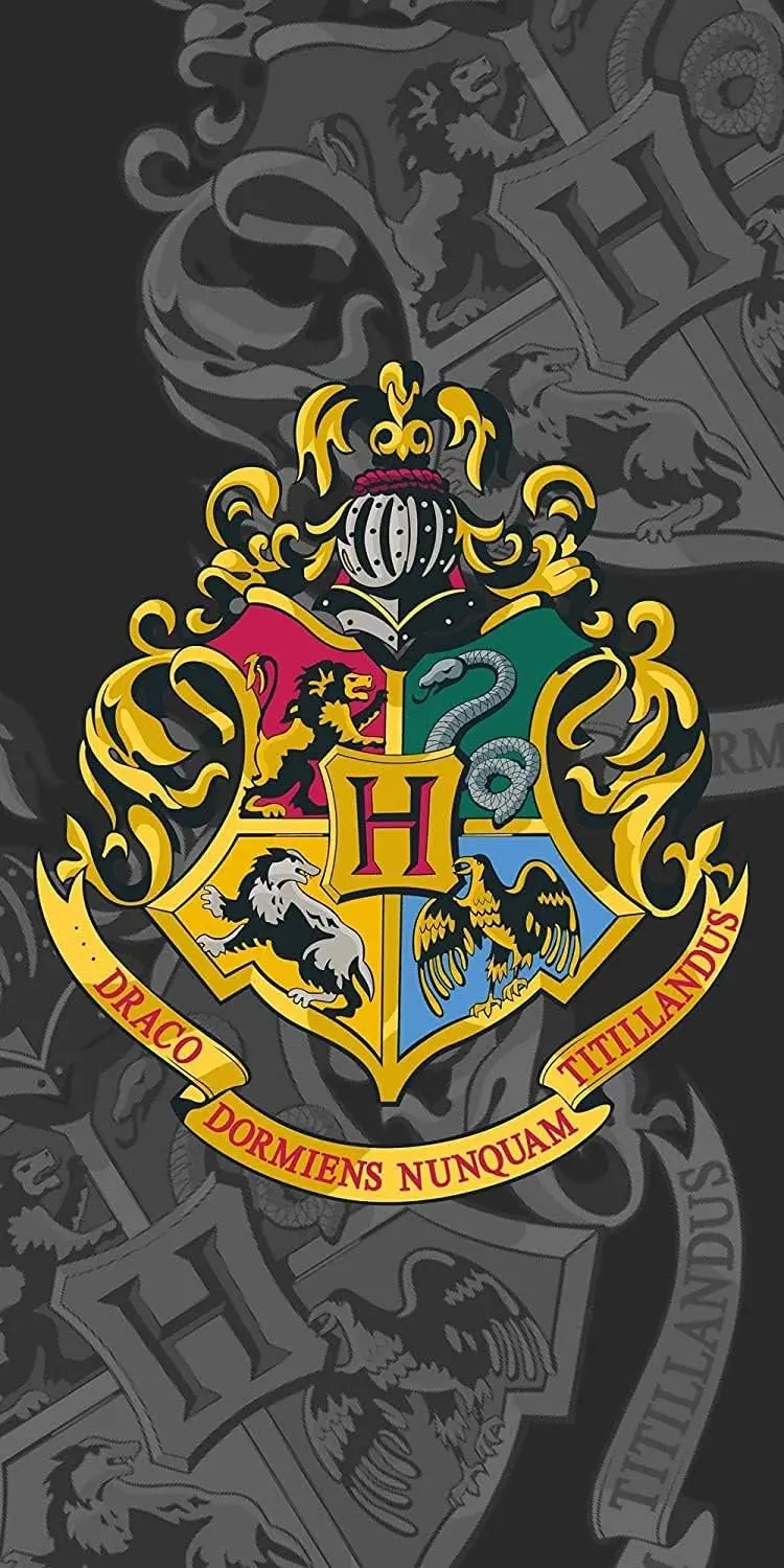 Harry Potter Hogwarts Badhanddoek Strandlaken 70x140 cm Katoen