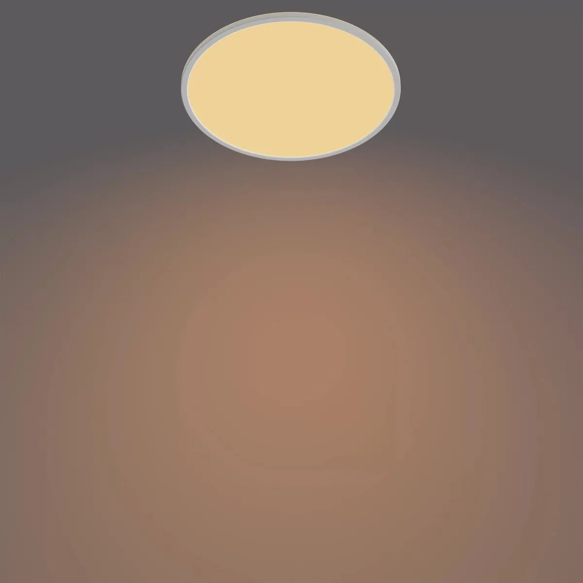 Philips SuperSlim Plafondlamp 22W - Wit - Warmwit