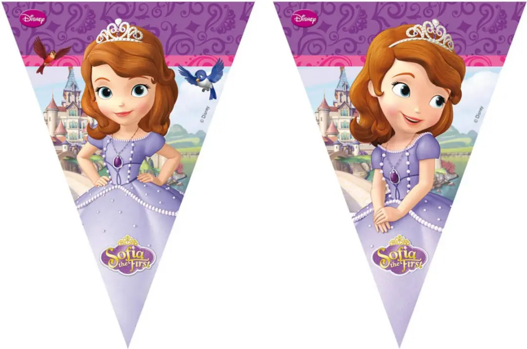 Sofia het Prinsesje Slingers 2,3 meter