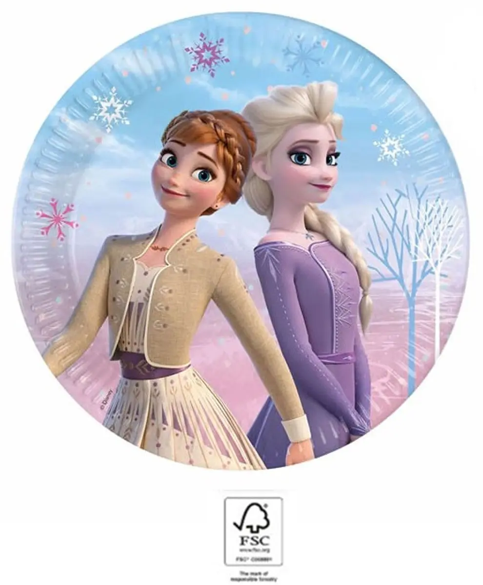 Disney Frozen Elsa Papieren Borden 23cm - 8 Stuks - afbeelding 2 van 3