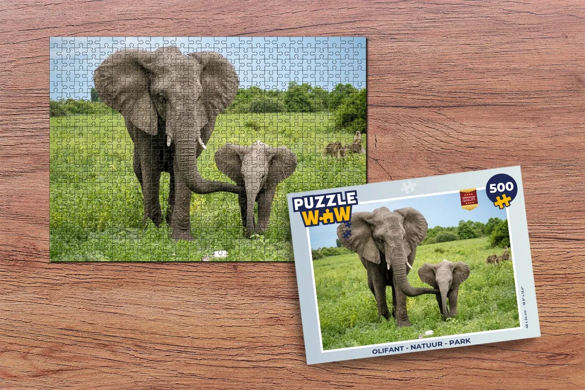 PuzzleWow Natuur Park Legpuzzel 500 Stuks - Multicolor