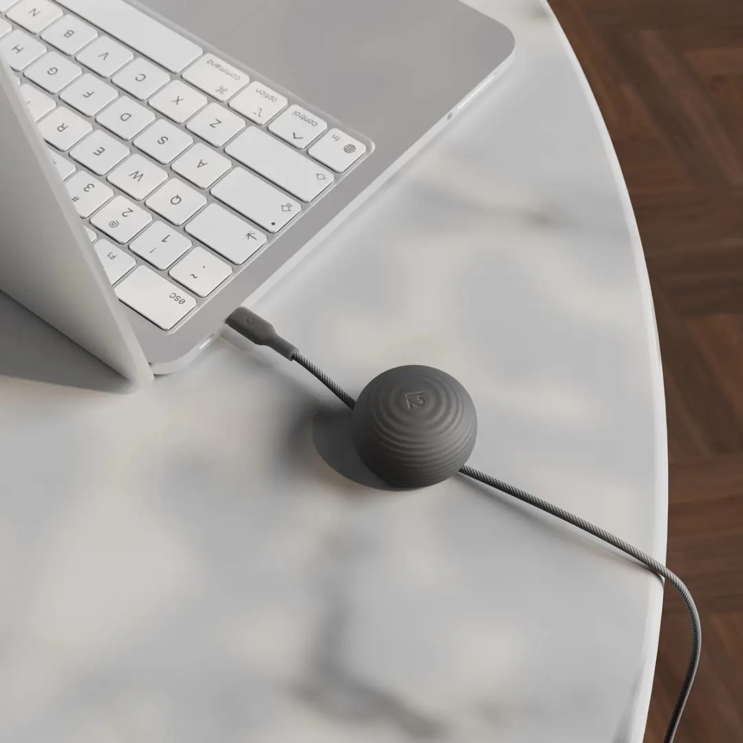 Twelve South CableStay TS-2645 USB-C Kabel - Zwart - afbeelding 4 van 6