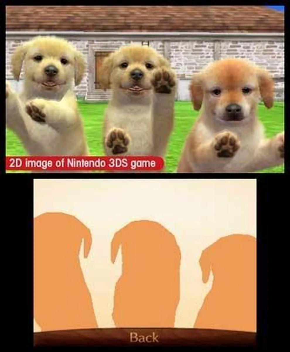 Nintendo Nintendogs + Cats Toy Poedel Nieuwe Vrienden - 2DS/3DS