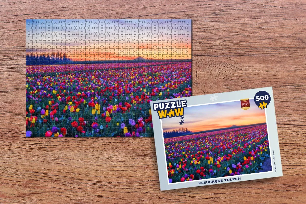 PuzzleWow Horizon Regenboog Legpuzzel 500 Stuks - Multicolor