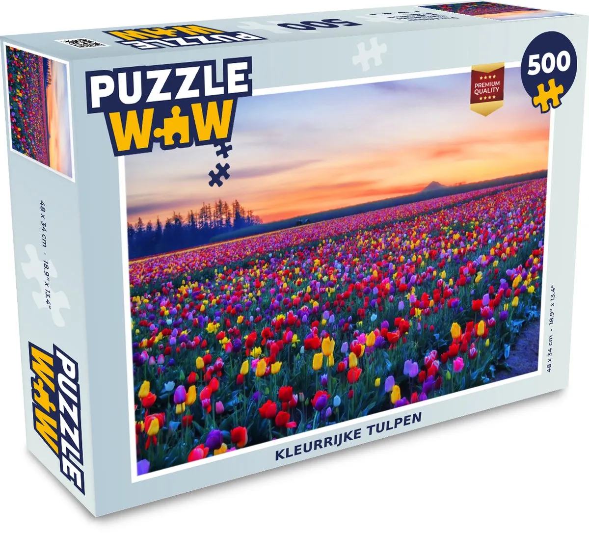 PuzzleWow Horizon Regenboog Legpuzzel 500 Stuks
