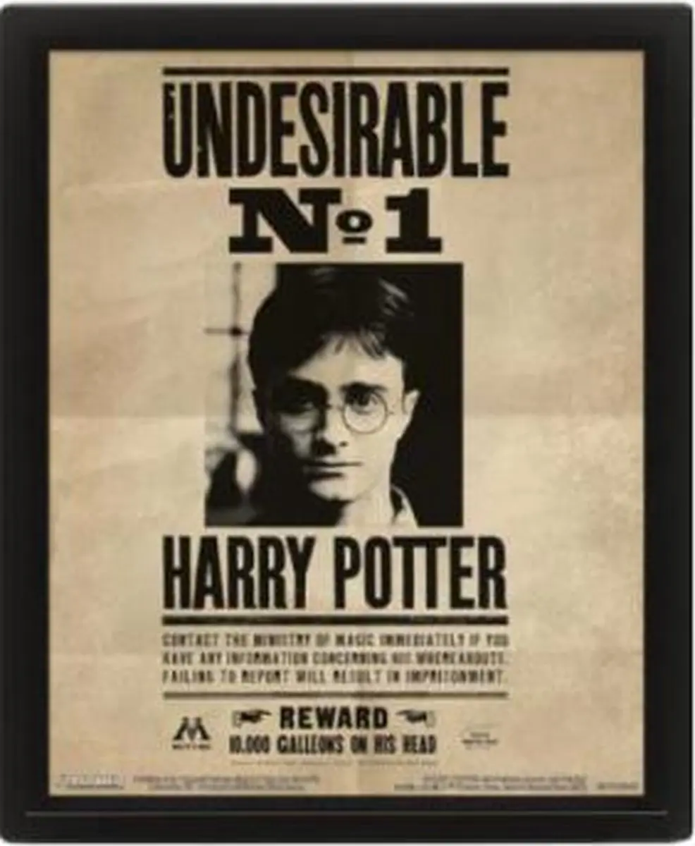 Pyramid Harry Potter Sirius Gezocht 3D Poster - afbeelding 3 van 3