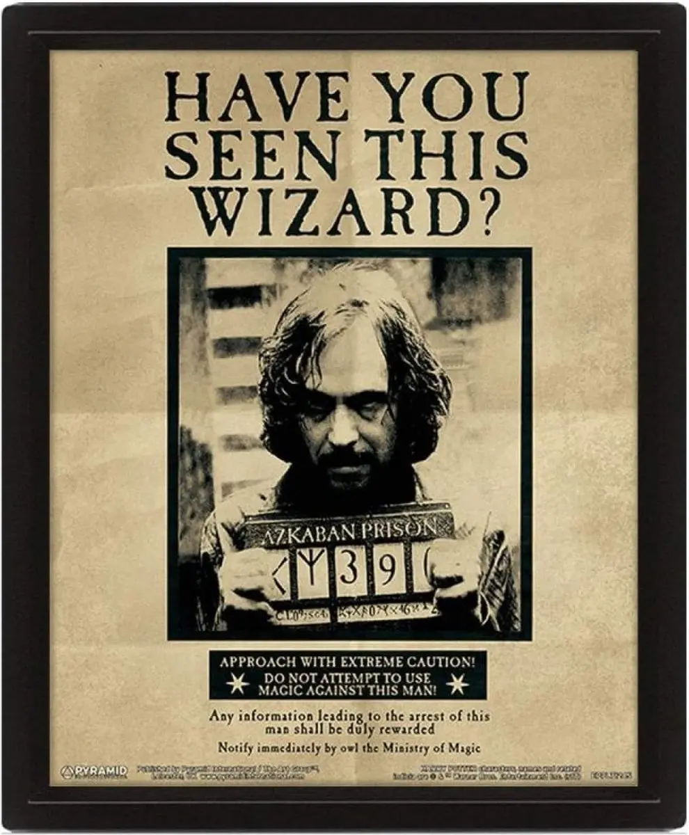 Pyramid Harry Potter Sirius Gezocht 3D Poster