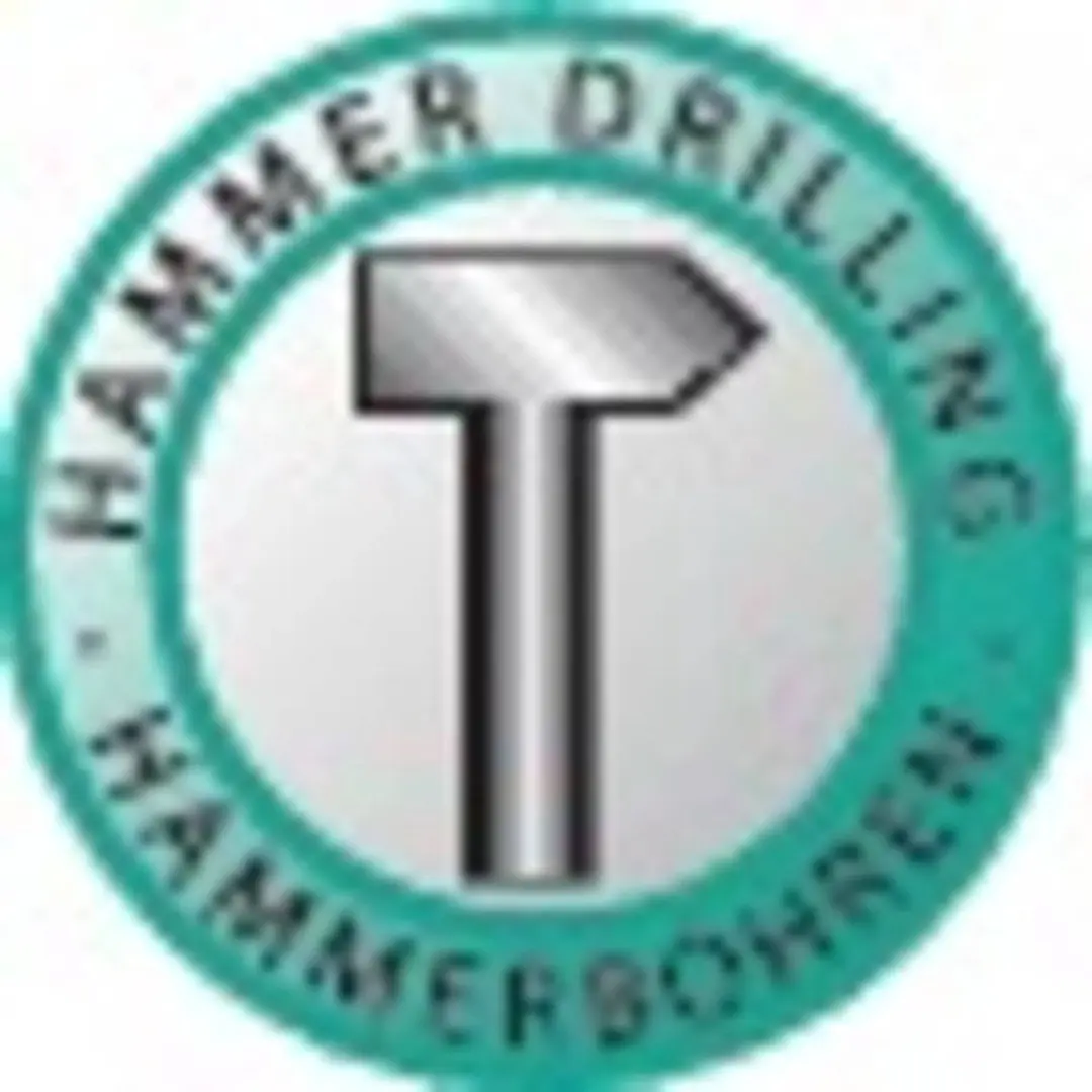 Heller Bionic Pro Hamerboor 186872 - Ø10mm, 250/310mm - afbeelding 2 van 6