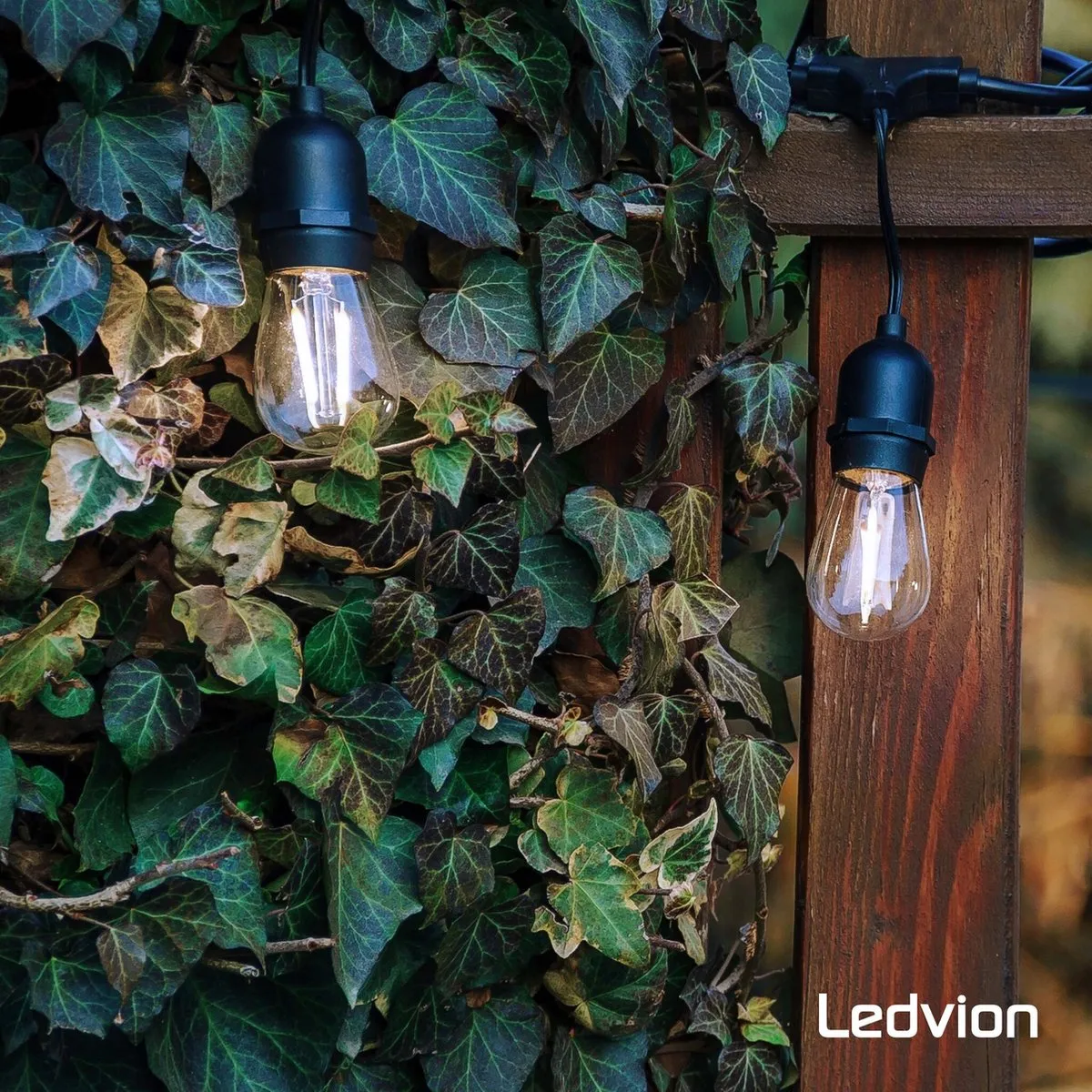 LEDVION LED Prikkabel 25m - 25x E27 LED 1W 2100K - IP65