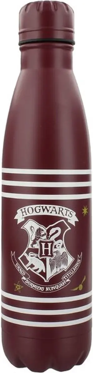 Pyramid Harry Potter Drinkfles Streepjes & Kuifje 540ml