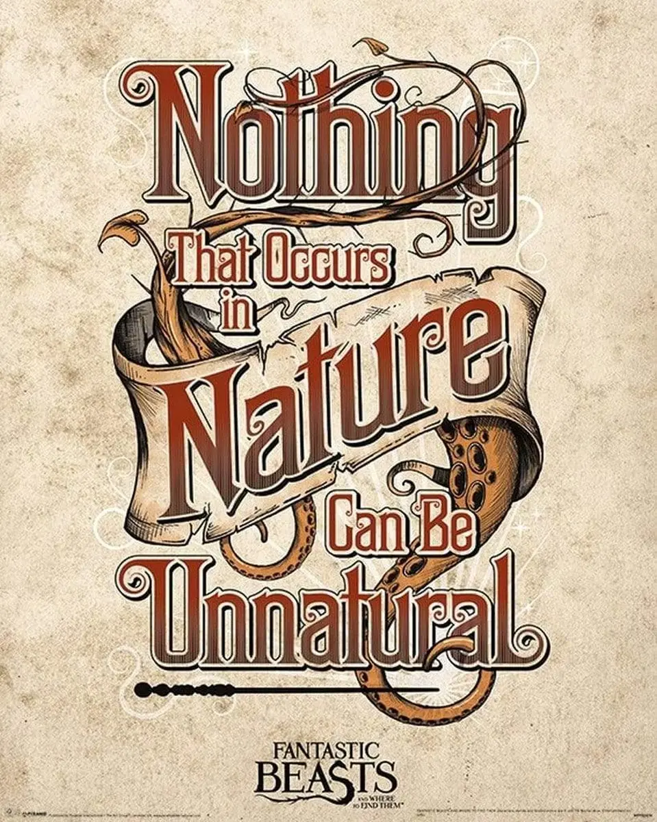Fantastic Beasts Unnatural Poster 40x50cm
