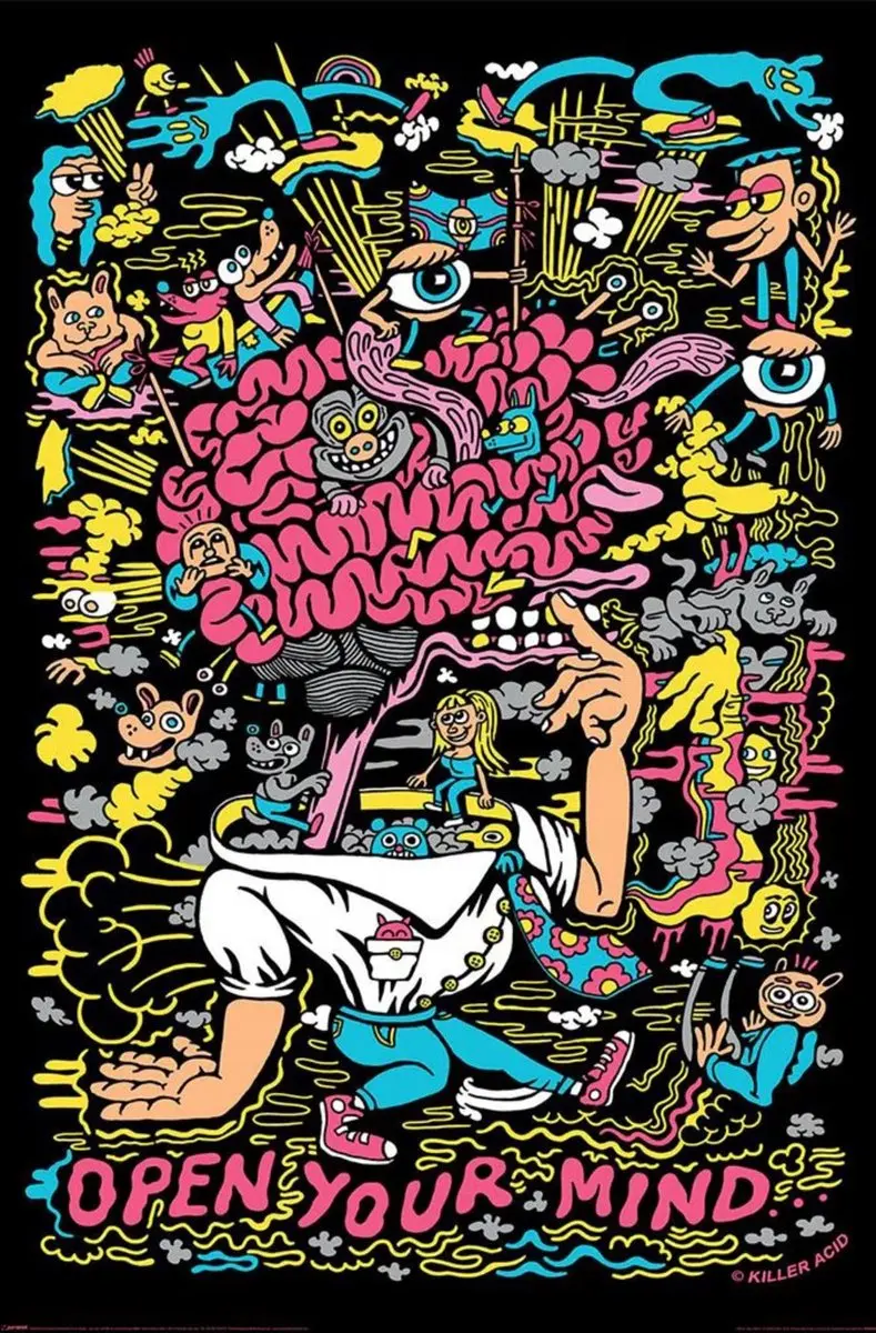 Killer Acid Open Your Mind