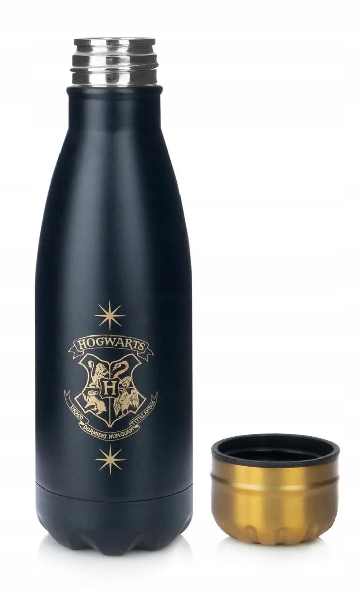 Pyramid Harry Potter Gouden Snaai Metalen Waterfles 550ml - afbeelding 2 van 2