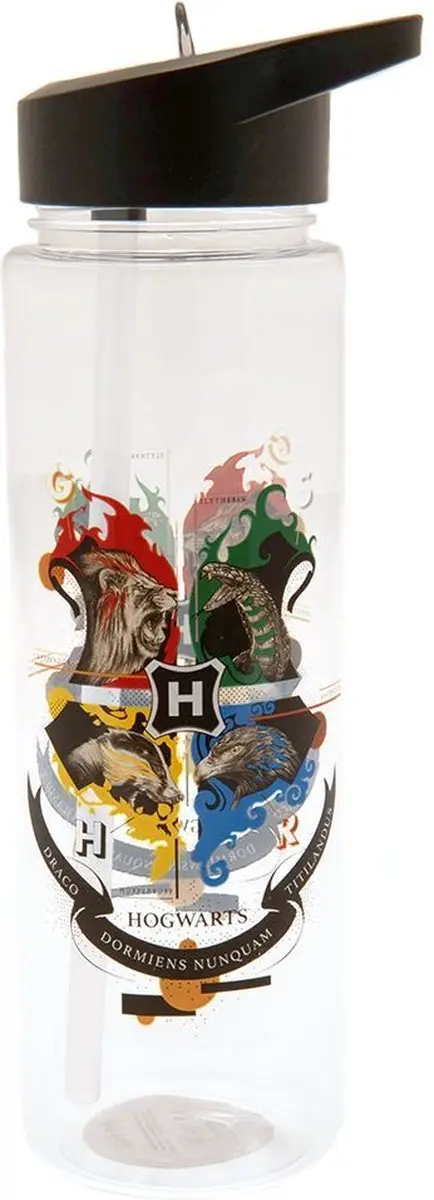 Pyramid Harry Potter Hogwarts Waterfles 540ml - afbeelding 2 van 3