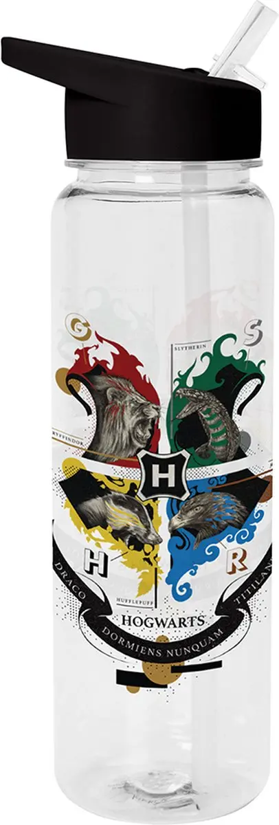 Pyramid Harry Potter Hogwarts Waterfles 540ml