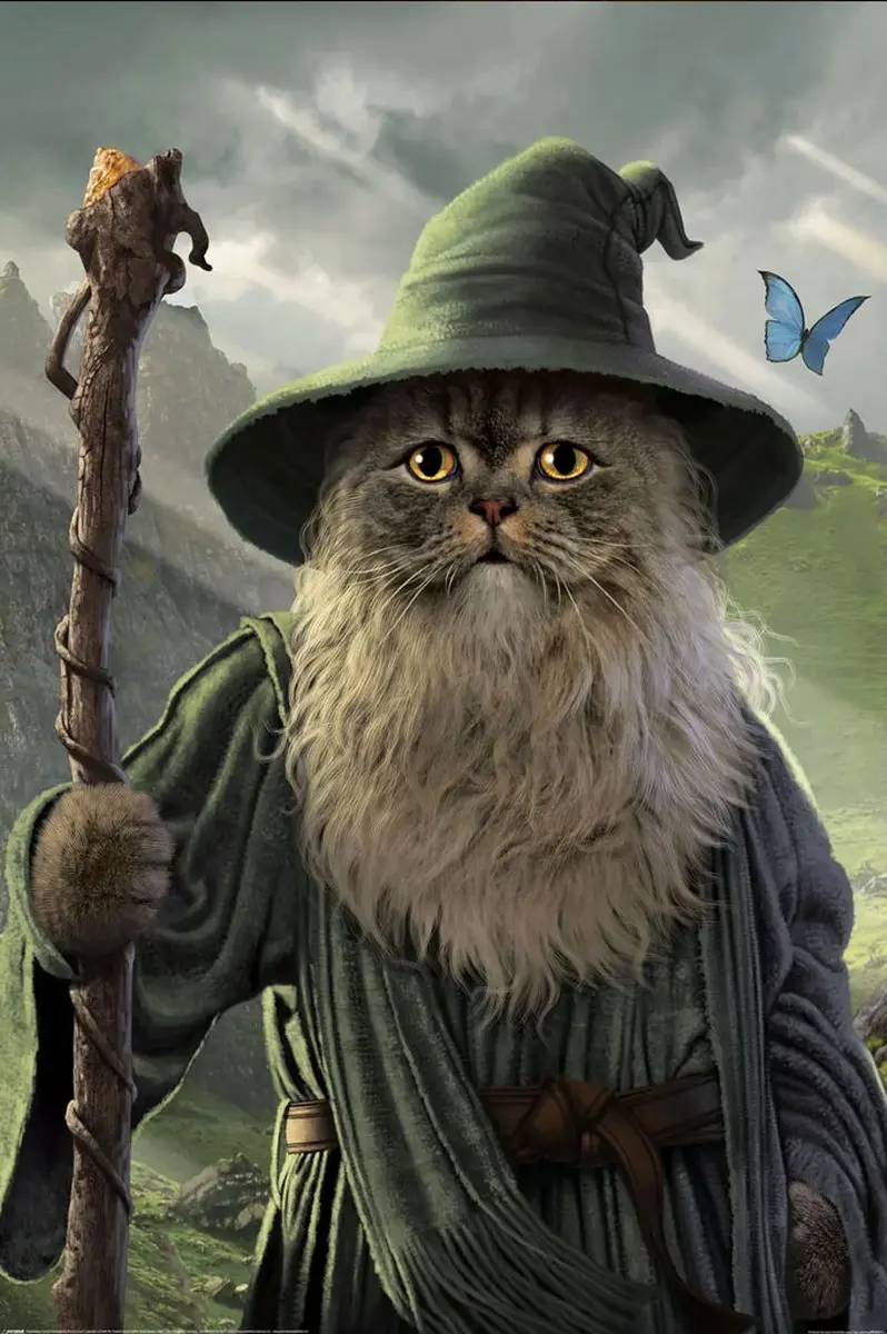 Catdalf