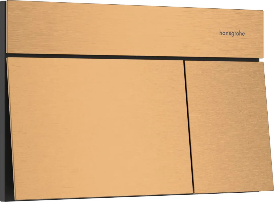 Hansgrohe IFrame Element E Drukplaatvoor