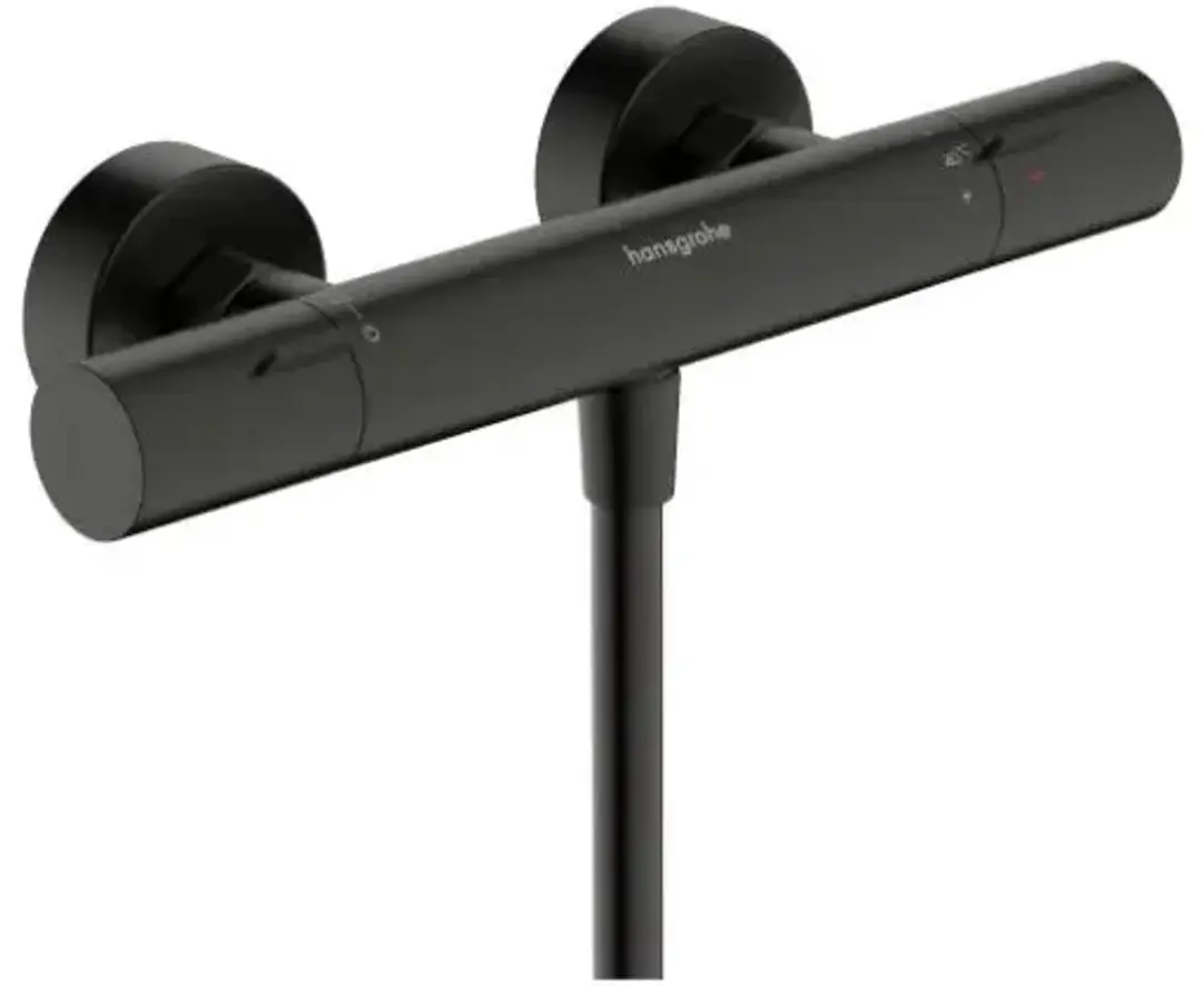 Hansgrohe Thermostaat Ecostat Fine
