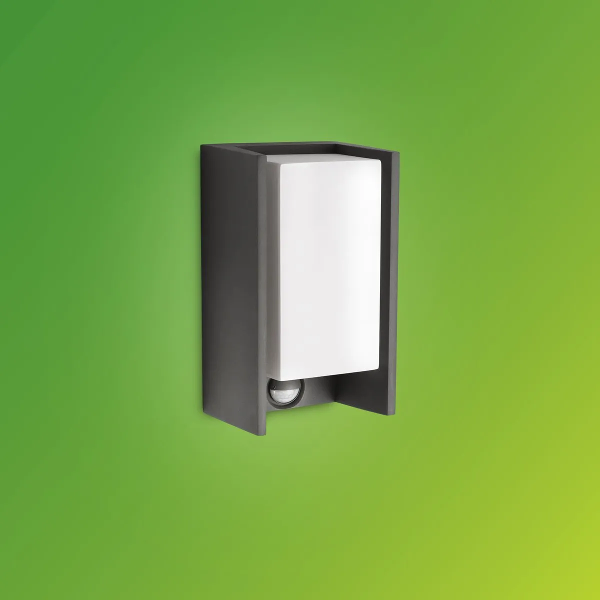 Philips LED Bridge Buitenwandlamp Sensor Antraciet