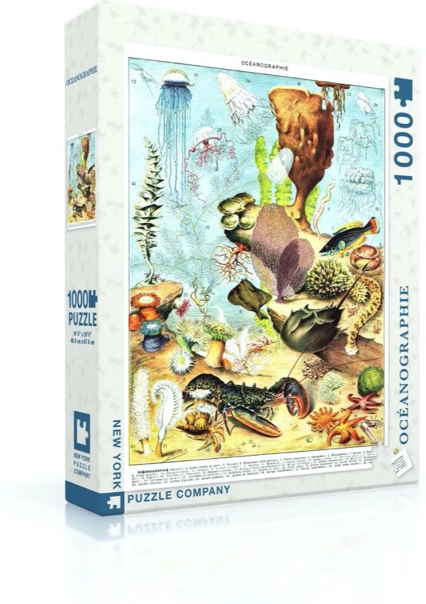 The New York Puzzle Company Vintage Images Océanographie Puzzel 1000 Stuks