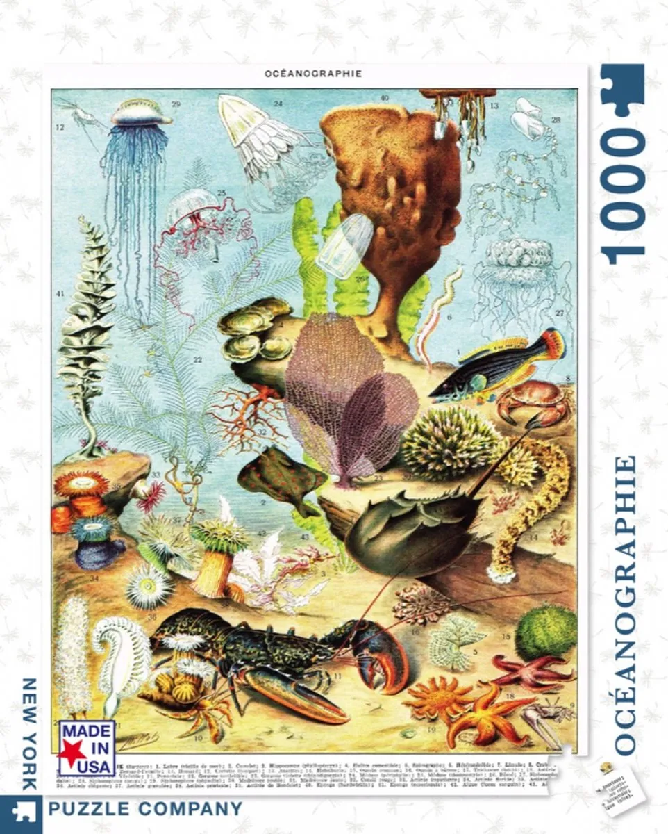 The New York Puzzle Company Vintage Images Océanographie Puzzel 1000 Stuks - NPZPD1975 - Multicolor