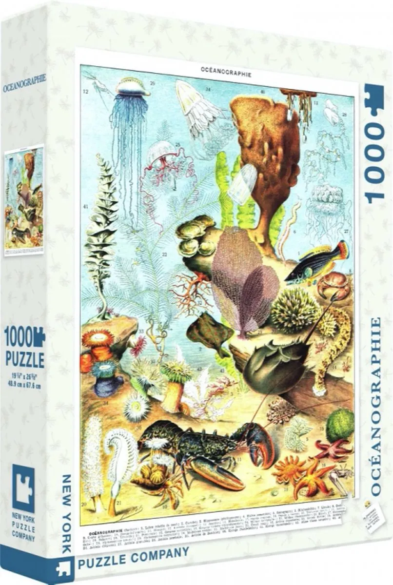The New York Puzzle Company Vintage Images Océanographie Puzzel 1000 Stuks - NPZPD1975 - Multicolor