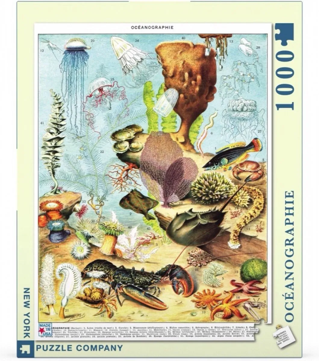 The New York Puzzle Company Vintage Images Océanographie Puzzel 1000 Stuks - NPZPD1975 - Multicolor