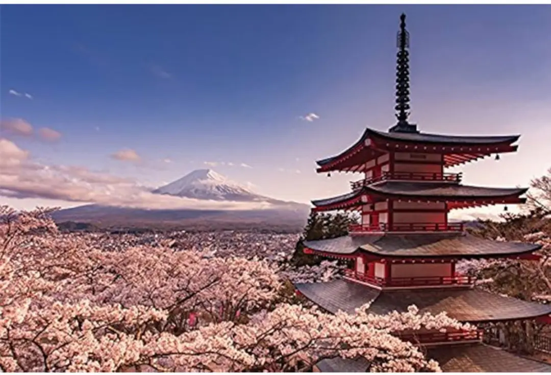 Mount Fuji Blossom