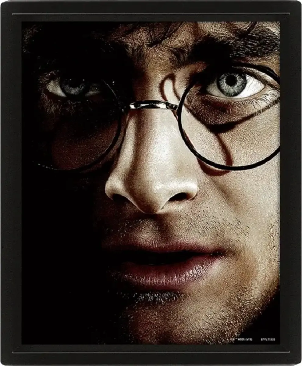 Pyramid Harry Potter vs Voldemort 3D Poster