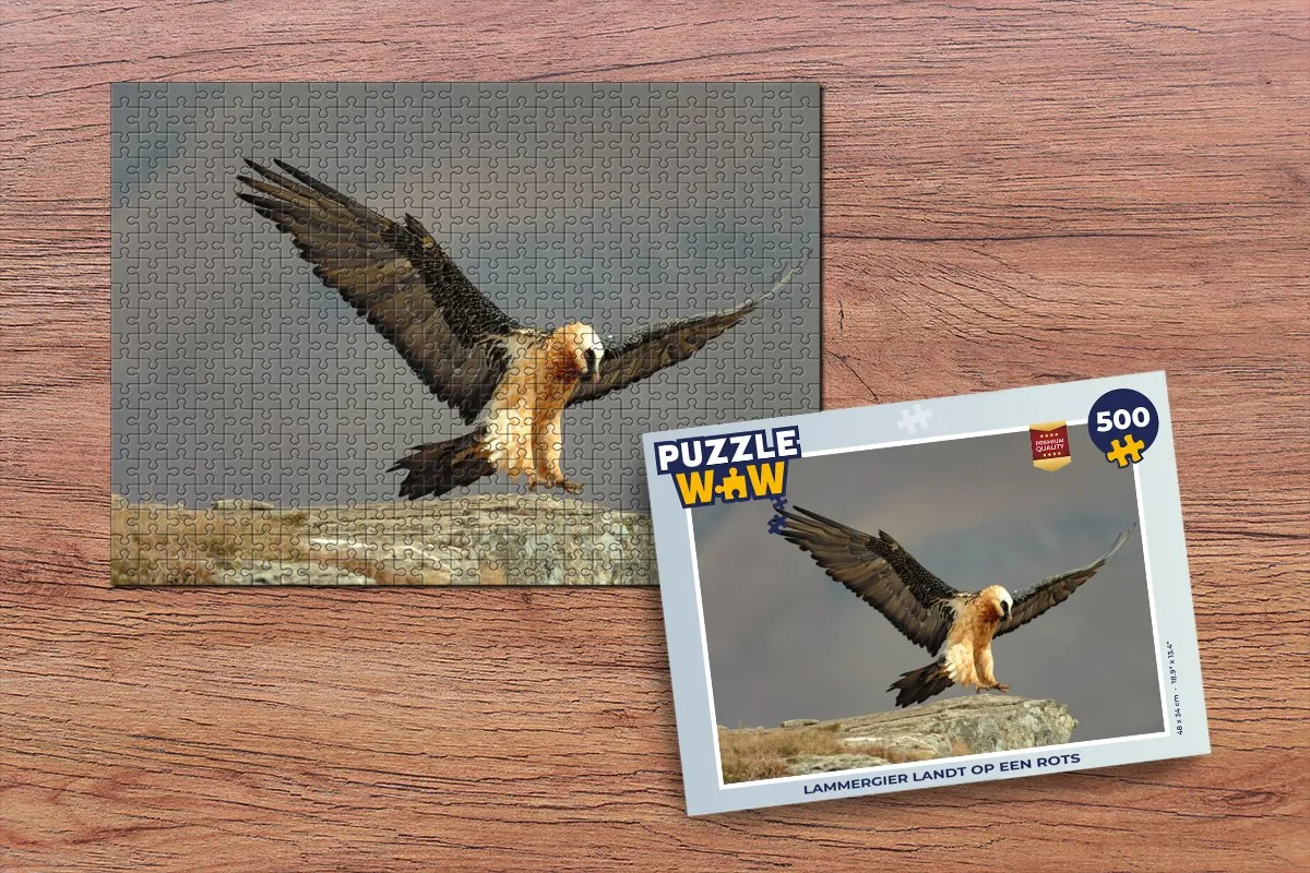 PuzzleWow Lammergier op Rots Legpuzzel 500 Stuks