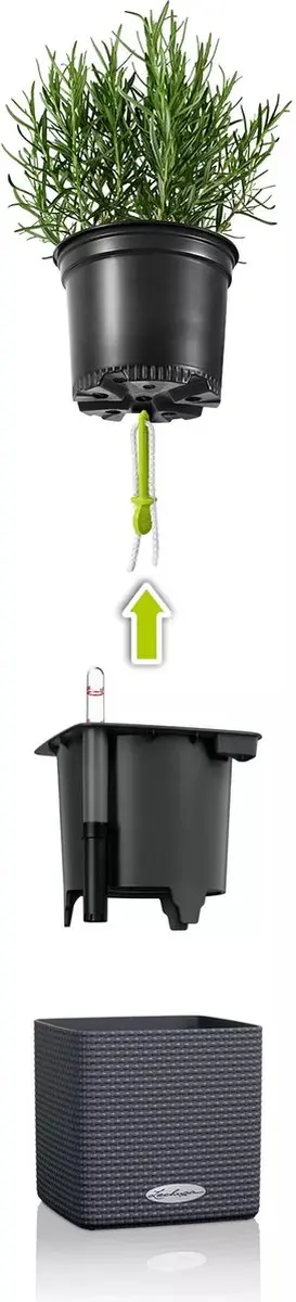 Lechuza CUBE Color Green Wall Home Kit Plantenbak - Wit - afbeelding 4 van 6