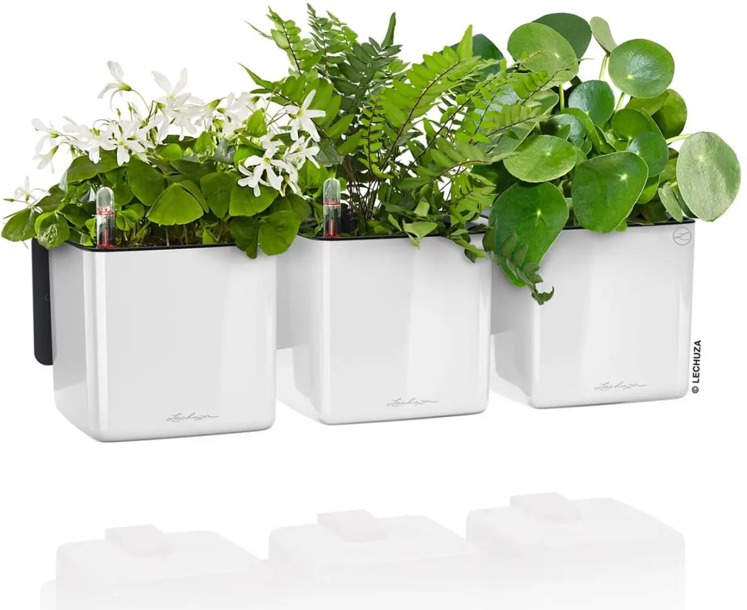 Lechuza CUBE Glossy Green Wall Home Kit 14 - Plantenbakken - afbeelding 2 van 6