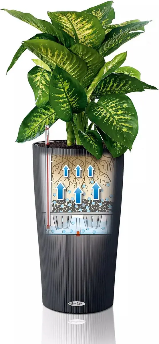 Lechuza Cilindro Color 23 Plantenbak - 5,5l - Zandbruin - afbeelding 5 van 6