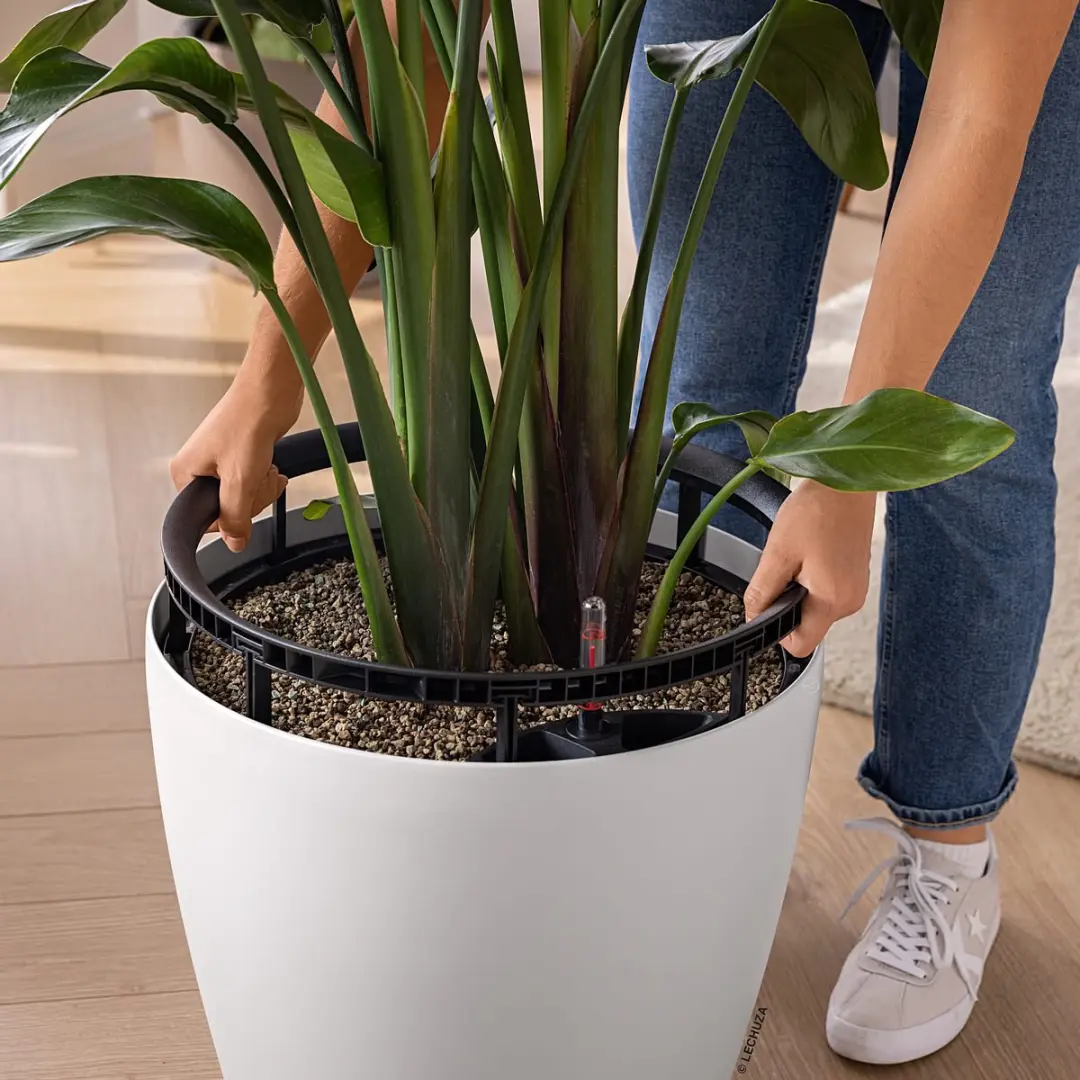 Lechuza Classico Color LS 43 Plantenbak - 28 l - Wit - afbeelding 2 van 6