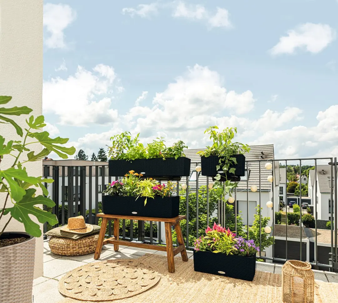 Lechuza Balconera Cottage 40 Plantenbak - Grafietzwart - afbeelding 4 van 6