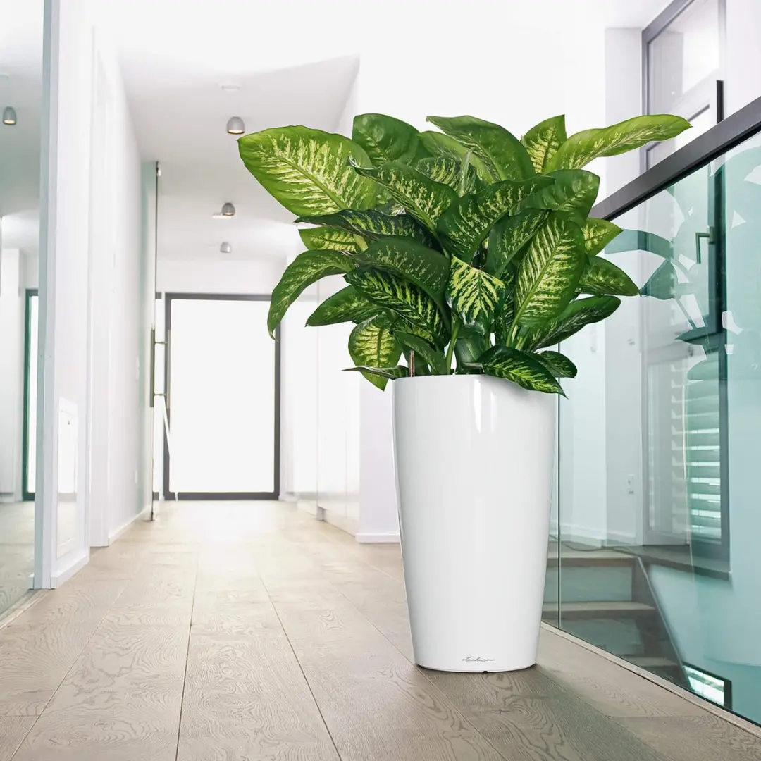 Lechuza Rondo Premium 40 Plantenbak - 22l - Antraciet Metallic - afbeelding 3 van 6