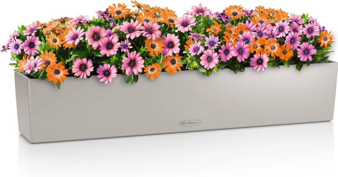 Lechuza BALCONERA Color 100 Plantenbak - 16 l - Zandbruin - afbeelding 4 van 4