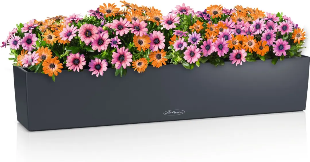 Lechuza Balconera Color 100 Plantenbak - 16l - Leisteengrijs - afbeelding 4 van 4