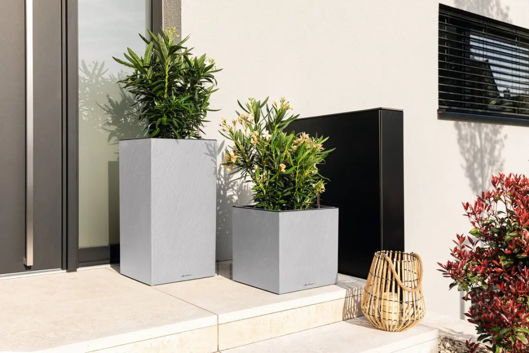 Lechuza CANTO Slatestone 30 low Plantenbak - Lichtgrijs - afbeelding 6 van 6
