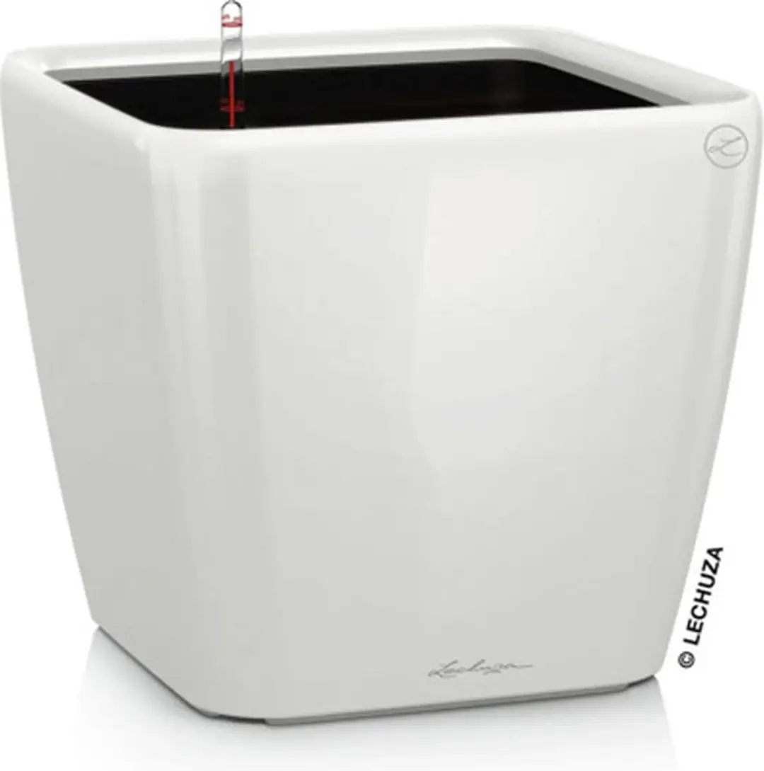Lechuza Quadro Premium LS 21 Plantenbak