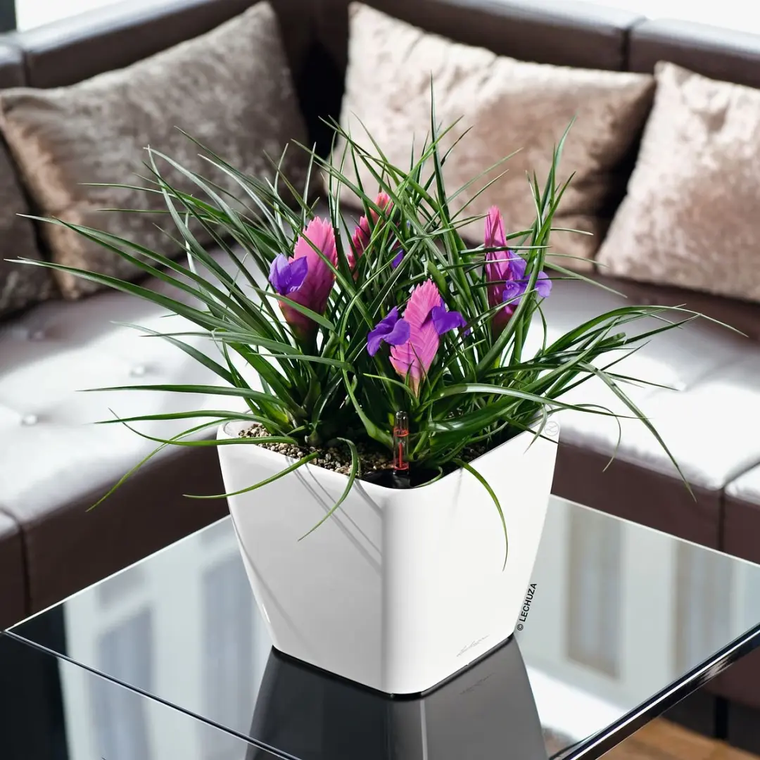 Lechuza Quadro Premium LS 21 Plantenbak - Wit Hoogglans - afbeelding 2 van 6