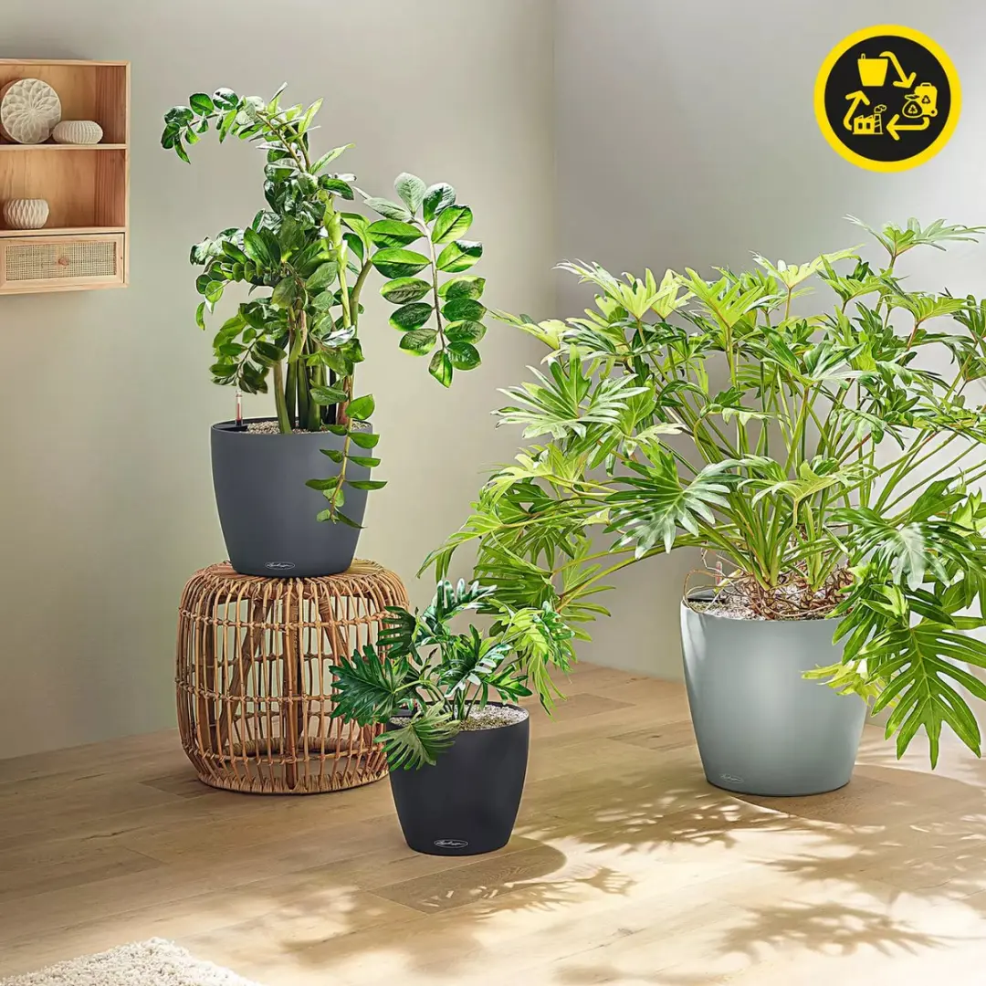 Lechuza CLASSICO Color ECO 28 Plantenbak - Lichtgrijs - afbeelding 6 van 6
