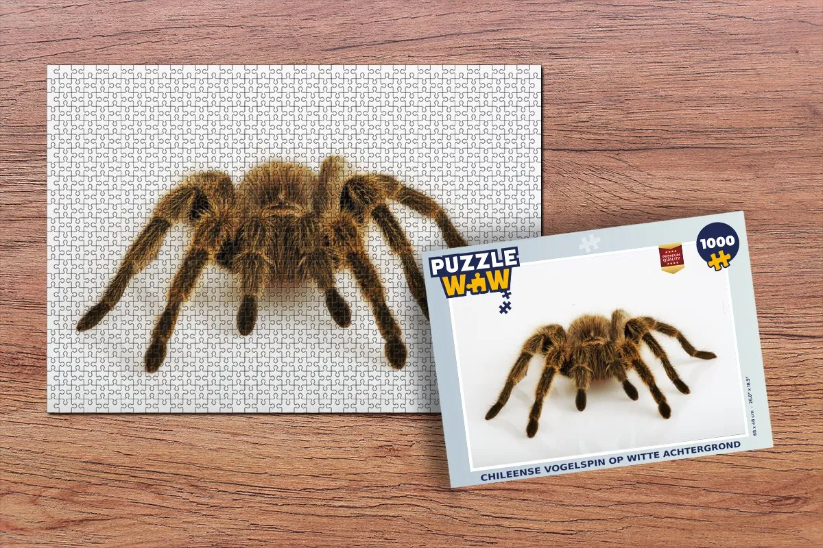 PuzzleWow Legpuzzel Chileense Vogelspin 1000 Stuks - Multicolor