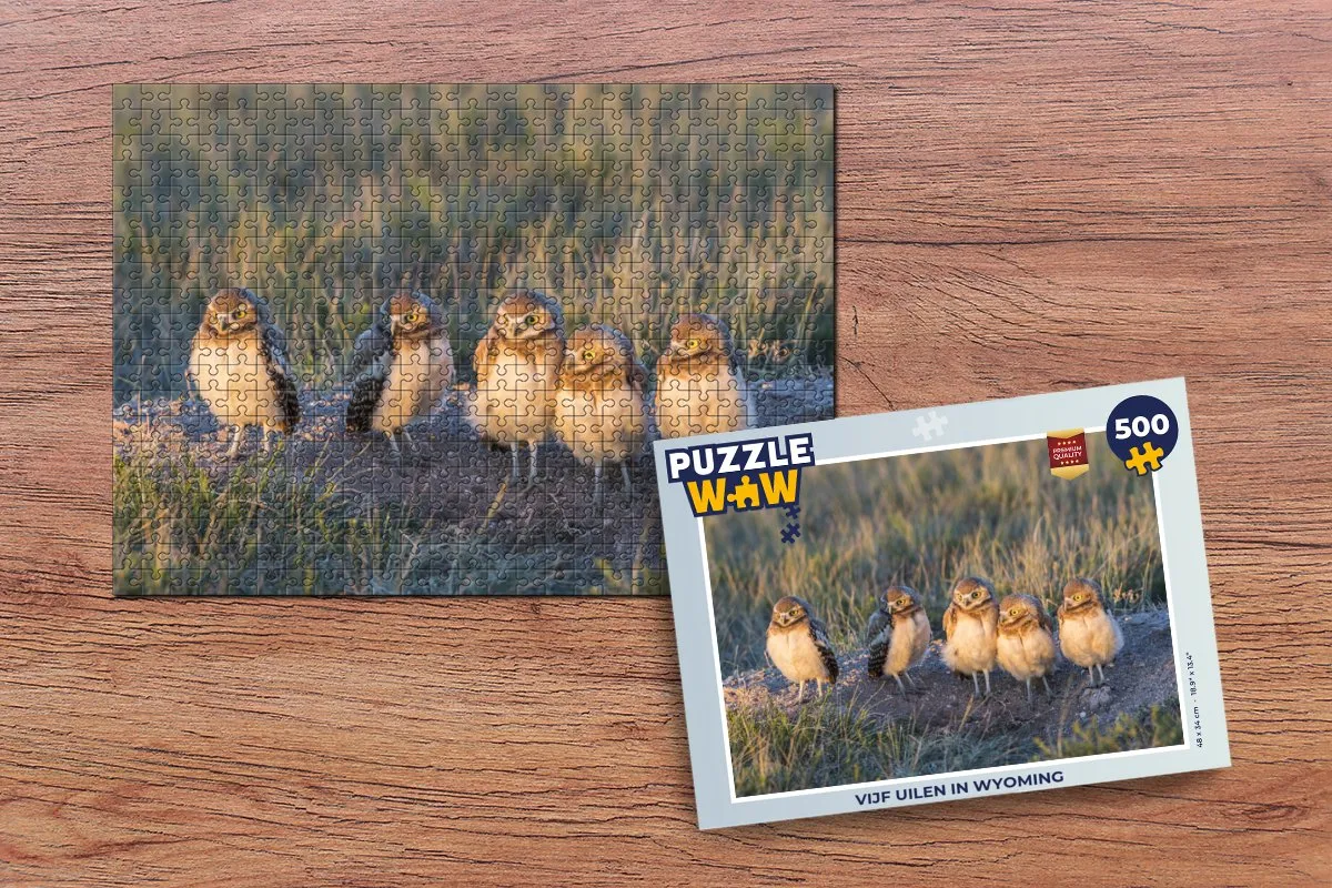 PuzzleWow Wyoming Legpuzzel 500 Stuks - Multicolor