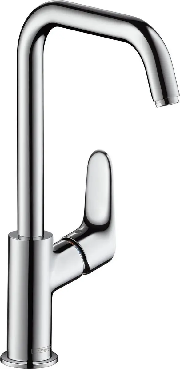 hansgrohe Focus