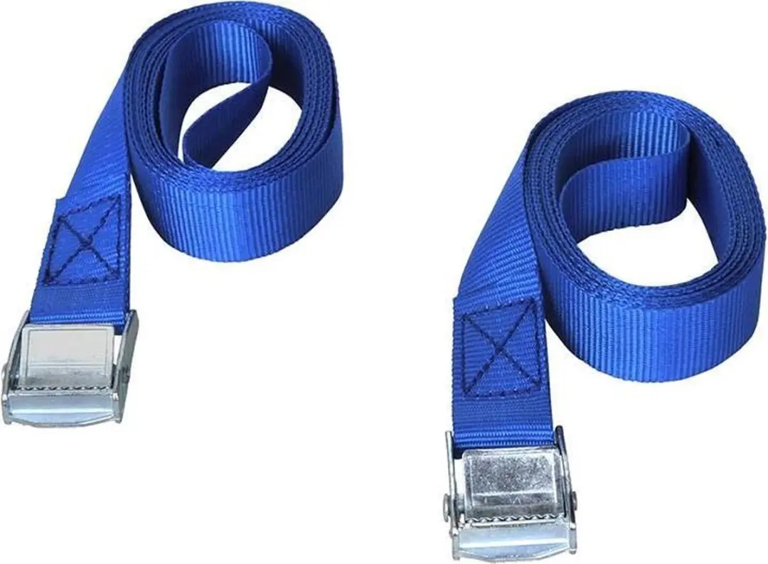 ProPlus Spanband met Snelsluiting 2,5m x 25mm - 2 Stuks - afbeelding 3 van 6