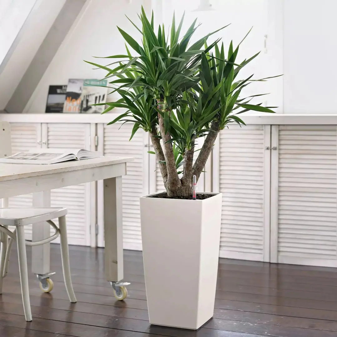 Lechuza Cubico Color 30 Plantenbak - Wit - afbeelding 6 van 6