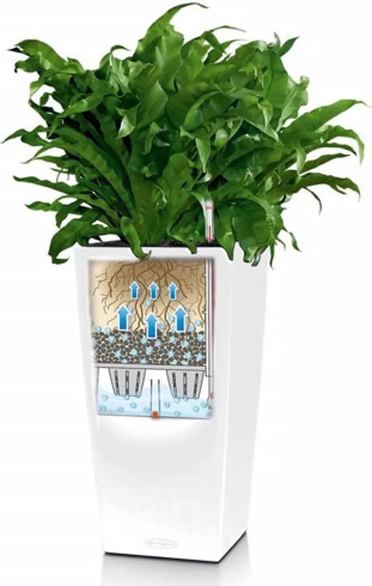 Lechuza Cubico Color 22 Plantenbak - Wit - afbeelding 3 van 6